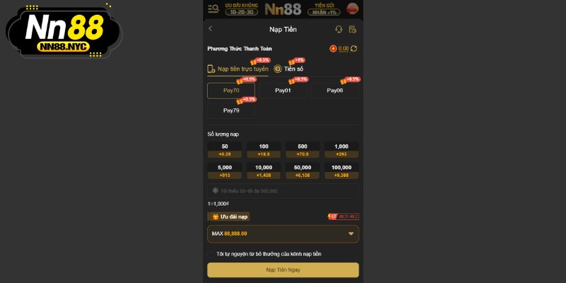 Các điều khoản điều kiện NN88 liên quan đến giao dịch tài chính