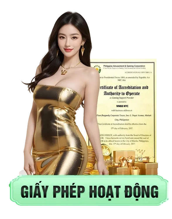 giấy phép hoạt động nn88