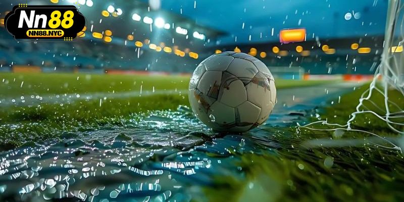 Thông tin sơ lược về sảnh thể thao NN88