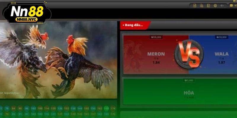 Thử sức với các kèo cược đá gà cực Hot